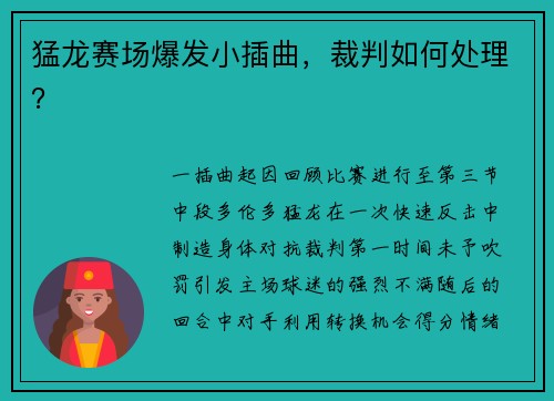 猛龙赛场爆发小插曲，裁判如何处理？